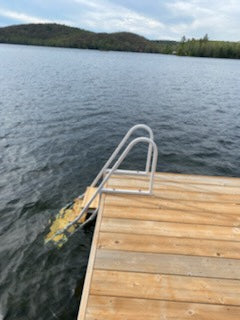 Dock Ladder — Walk-Out, Boomer Style